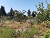 Satılır 8 sot torpaq Nardaran