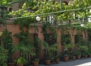 Satılır 7 otaqlı 300 m2 həyət evi Novxanı