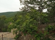 Satılır 4 otaqlı 93 m2 həyət evi Şəki