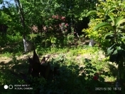 Satılır 5 otaqlı 180 m2 bağ evi Sumqayıt