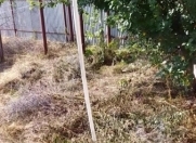 Satılır 3 otaqlı 108 m2 həyət evi İsmayıllı