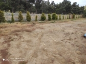 Satılır 24 sot torpaq Səbail r.