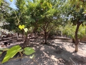 Satılır 3 otaqlı 100 m2 həyət evi Zabrat 1