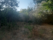 Satılır 13 sot torpaq Binəqədi