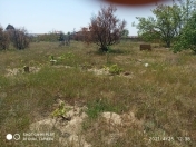 Satılır 12 sot torpaq Novxanı