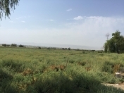 Satılır 6 sot torpaq Binəqədi