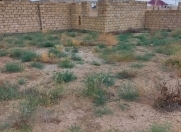 Satılır 4 sot torpaq Gəncə