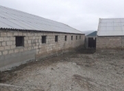 Satılır 25 sot torpaq Müşfiqabad