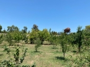 Satılır 34 sot torpaq Şüvəlan