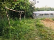 Satılır 11 sot torpaq Göyçay