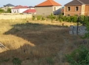 Satılır 6 sot torpaq Badamdar