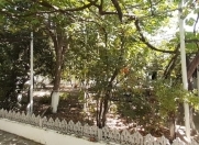 Satılır 12 sot torpaq 8 mkr