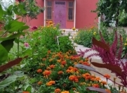 İcarəyə verilir 5 otaqlı 120 m2 həyət evi Qəbələ