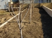 Satılır 6 sot torpaq Sumqayıt