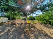 Satılır 42 sot torpaq Bilgəh