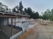 Satılır 19 sot torpaq Nardaran