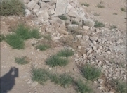 Satılır 2 sot torpaq Y.Suraxanı