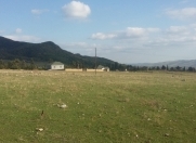 Satılır 12 sot torpaq İsmayıllı