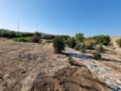 Satılır 30 sot torpaq Bilgəh