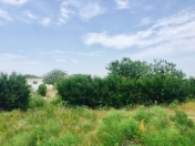 Satılır 25 sot torpaq Nardaran