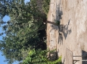 Satılır 12 sot torpaq Bilgəh