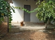 Satılır 2 otaqlı 6 m2 bağ evi Maştağa