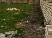 Satılır 15 sot torpaq Qusar