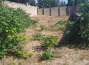 Satılır 7 sot torpaq Pirşağı