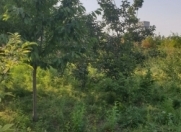 Satılır 10 sot torpaq Sabirabad