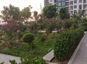 Satılır 2 otaqlı 88 m2 yeni tikili Güzdək