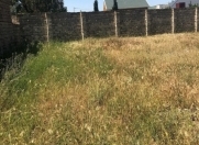 Satılır 6 sot torpaq Qəbələ