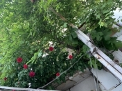 Satılır 4 otaqlı 138 m2 həyət evi Aygun City