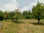 Satılır 30 sot torpaq Qəbələ