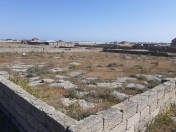 Satılır 5 sot torpaq Türkan