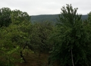 Satılır 4 otaqlı 75.2 m2 bağ evi Quba