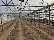 Satılır 50 sot torpaq Şəmkir