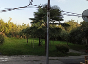 Satılır 3 otaqlı 12000 m2 obyekt Zaqatala