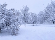 Satılır 10 sot torpaq Qəbələ