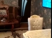 Satılır 2 otaqlı 75 m2 həyət evi Qala