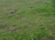 Satılır 3 sot torpaq Sumqayıt