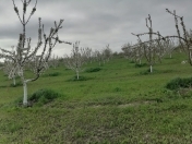 Satılır 118 sot torpaq Qusar