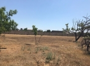 Satılır 3 sot torpaq Maştağa