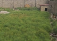 Satılır 5 sot torpaq Savalan