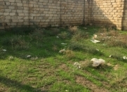 Satılır 5 sot torpaq Hökməli