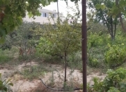 Satılır 10 sot torpaq Bilgəh