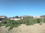 Satılır 19 sot torpaq Nardaran