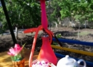 İcarəyə verilir 4 otaqlı 200 m2 villa Qusar