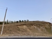 Satılır 12 sot torpaq Şamaxı