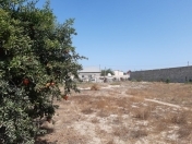 Satılır 12 sot torpaq Nardaran