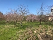 Satılır 2 otaqlı 80 m2 bağ evi Xaçmaz